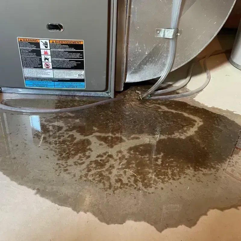 Appliance Leak Cleanup in Keenesburg, CO